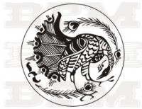 /album/vtaky/vtaky-11-jpg/